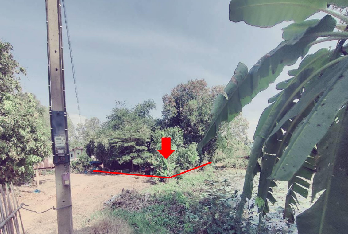 ขายทอดตลาด ที่ดินว่างเปล่า ต.พันลาน อ.ชุมแสง จ.นครสวรรค์