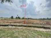 ขายทอดตลาด ที่ดินว่างเปล่า ต.บึงอ้อ อ.ขามทะเลสอ จ.นครราชสีมา