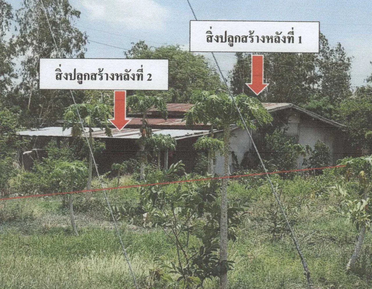 ขายทอดตลาด ที่ดินพร้อมสิ่งปลูกสร้าง ต.ตาคลี อ.ตาคลี จ.นครสวรรค์