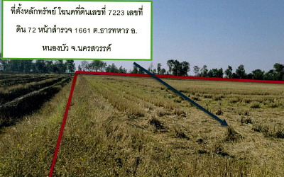 ขายทอดตลาด ที่ดินว่างเปล่า ต.ธารทหาร อ.หนองบัว จ.นครสวรรค์