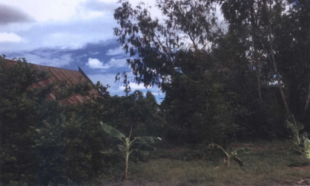 ขายทอดตลาด ที่ดินว่างเปล่า ต.เกรียงไกร อ.เมืองนครสวรรค์ จ.นครสวรรค์