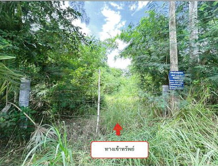 ขายทอดตลาด ที่ดินว่างเปล่า ต.บึงอ้อ อ.ขามทะเลสอ จ.นครราชสีมา