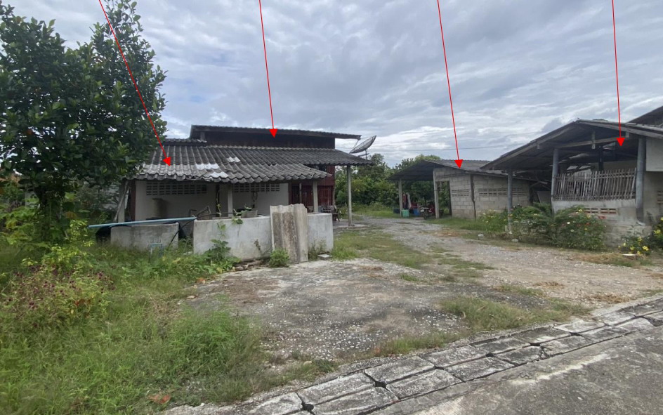 ขายทอดตลาด ที่ดินพร้อมสิ่งปลูกสร้าง ต.มะขุนหวาน อ.สันป่าตอง จ.เชียงใหม่