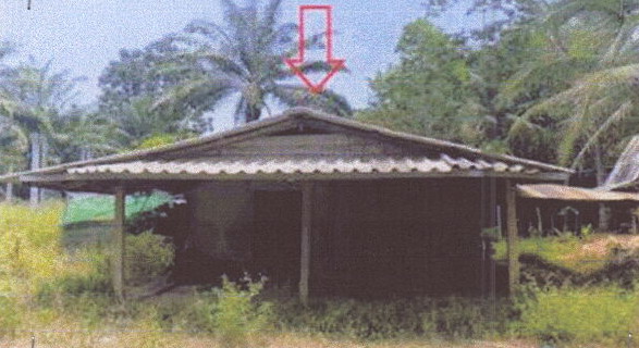 ขายทอดตลาด ที่ดินพร้อมสิ่งปลูกสร้าง ต.พรุดินนา อ.คลองท่อม จ.กระบี่