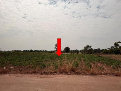 ขายทอดตลาด ที่ดินว่างเปล่า ต.นาจารย์ อ.เมืองกาฬสินธุ์ จ.กาฬสินธุ์