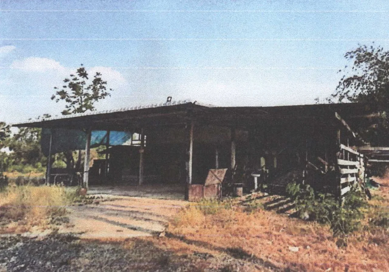 ขายทอดตลาด ที่ดินพร้อมสิ่งปลูกสร้าง ต.พนมรอก อ.ท่าตะโก จ.นครสวรรค์