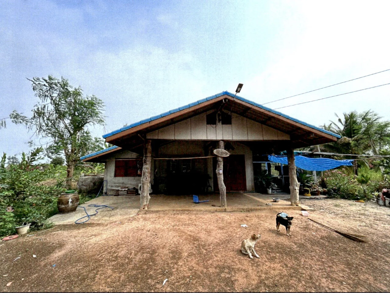 ขายทอดตลาด ที่ดินพร้อมสิ่งปลูกสร้าง ต.สารภี อ.หนองบุญมาก จ.นครราชสีมา