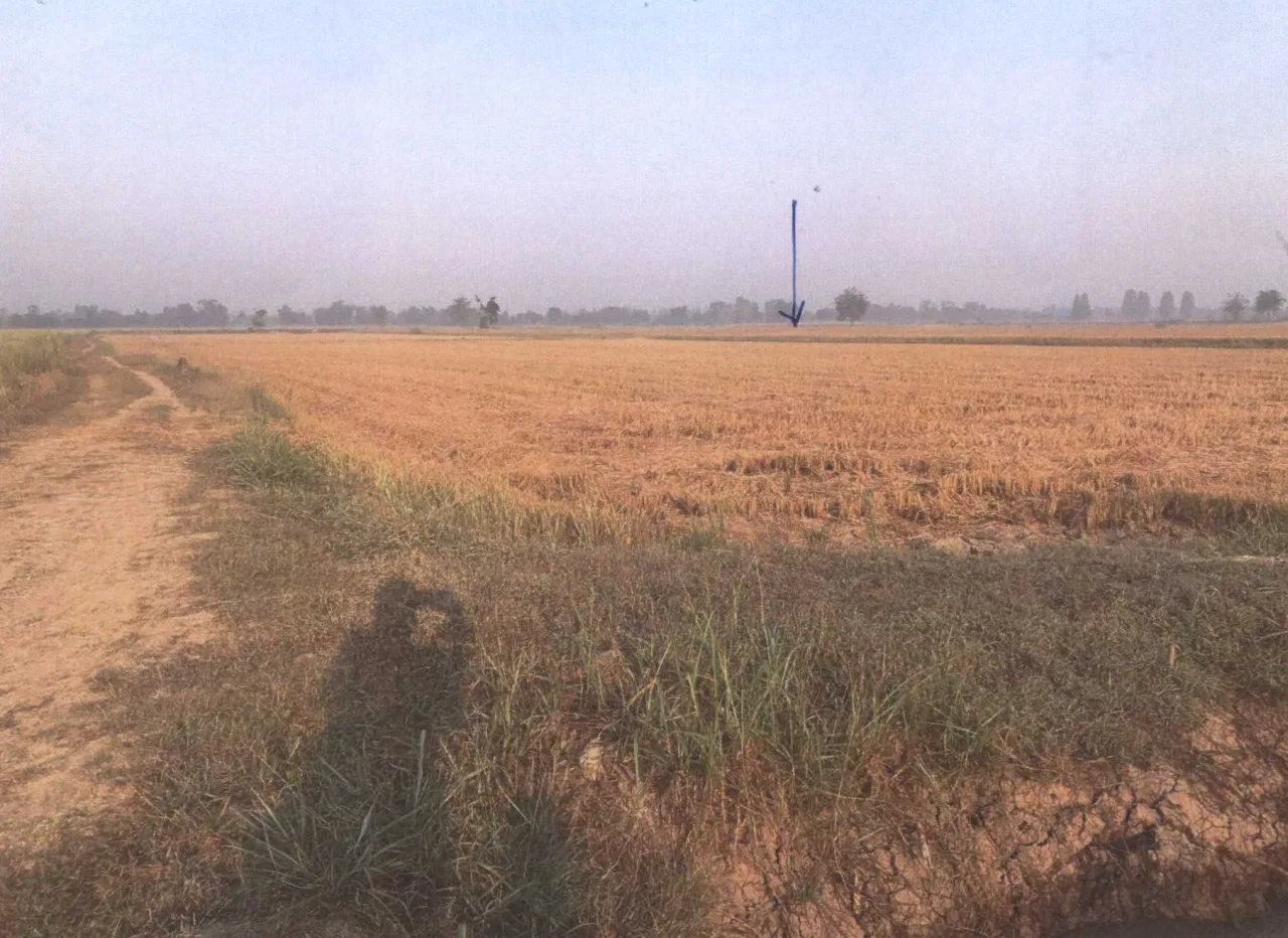 ขายทอดตลาด ที่ดินว่างเปล่า ต.หนองเต่า อ.เก้าเลี้ยว จ.นครสวรรค์