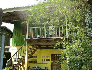 ขายทอดตลาด ที่ดินพร้อมสิ่งปลูกสร้าง ต.ไทรใหญ่ อ.ไทรน้อย(บางบัวทอง) จ.นนทบุรี
