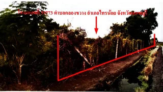 รูปทรัพย์ 2