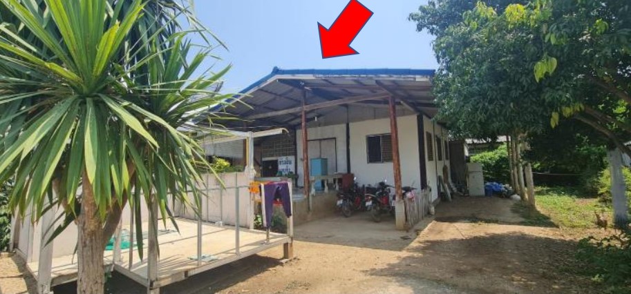 ขายทอดตลาด ที่ดินพร้อมสิ่งปลูกสร้าง ต.เชียงดาว อ.เชียงดาว จ.เชียงใหม่