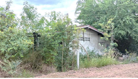 ขายทอดตลาด ที่ดินพร้อมสิ่งปลูกสร้าง ต.หนองหลวง อ.ท่าตะโก จ.นครสวรรค์