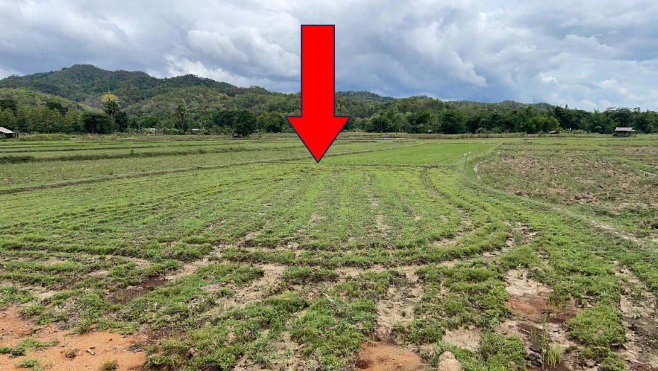 ขายทอดตลาด ที่ดินว่างเปล่า ต.แม่ทา อ.แม่ออน จ.เชียงใหม่
