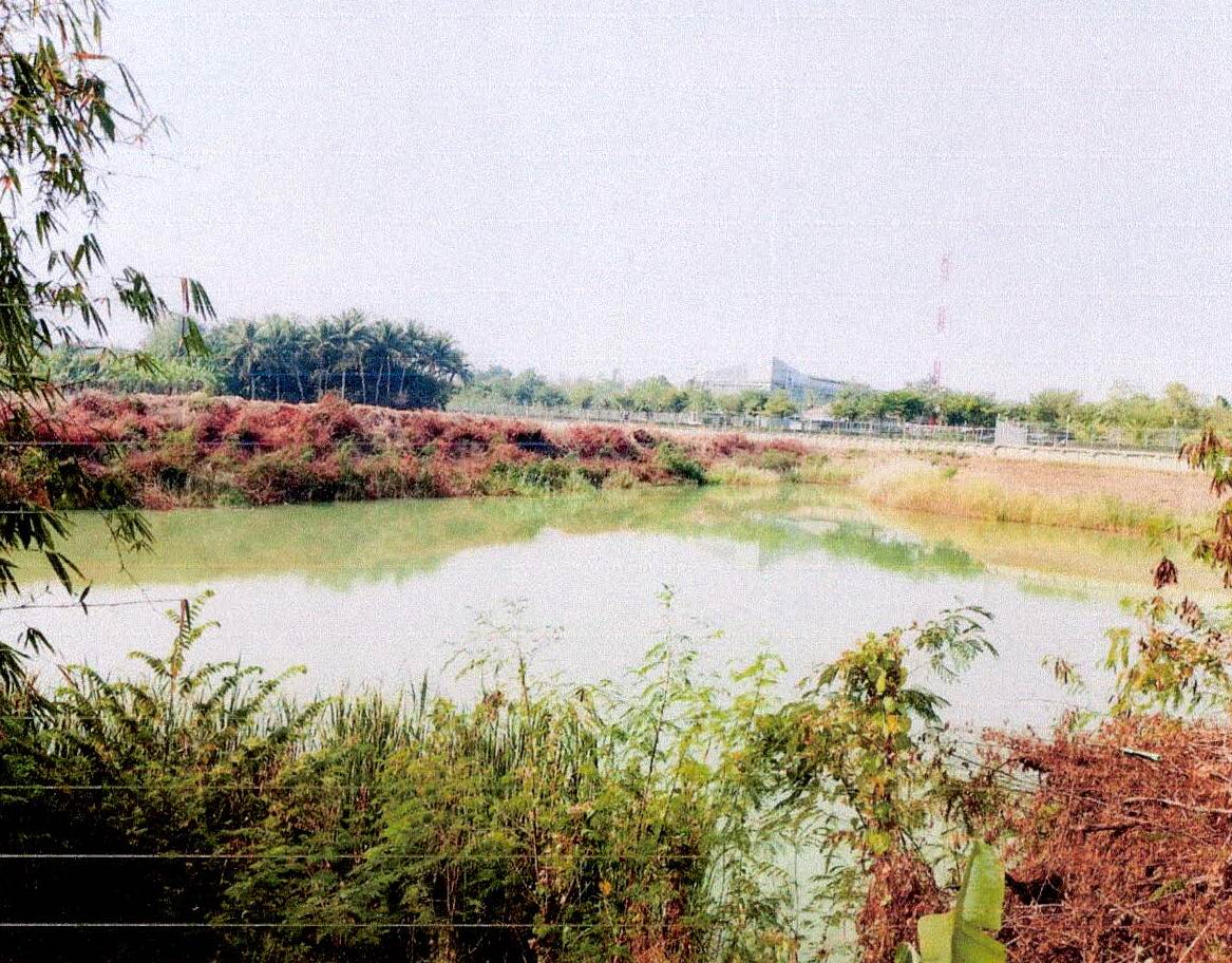 ขายทอดตลาด ที่ดินว่างเปล่า ต.วังขนาย อ.ท่าม่วง จ.กาญจนบุรี