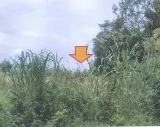 รูปทรัพย์ 1