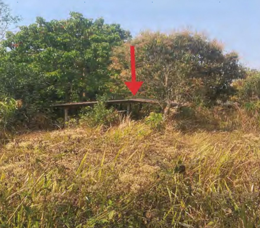 ขายทอดตลาด ที่ดินพร้อมสิ่งปลูกสร้าง ต.ป่าไหน่ อ.พร้าว จ.เชียงใหม่