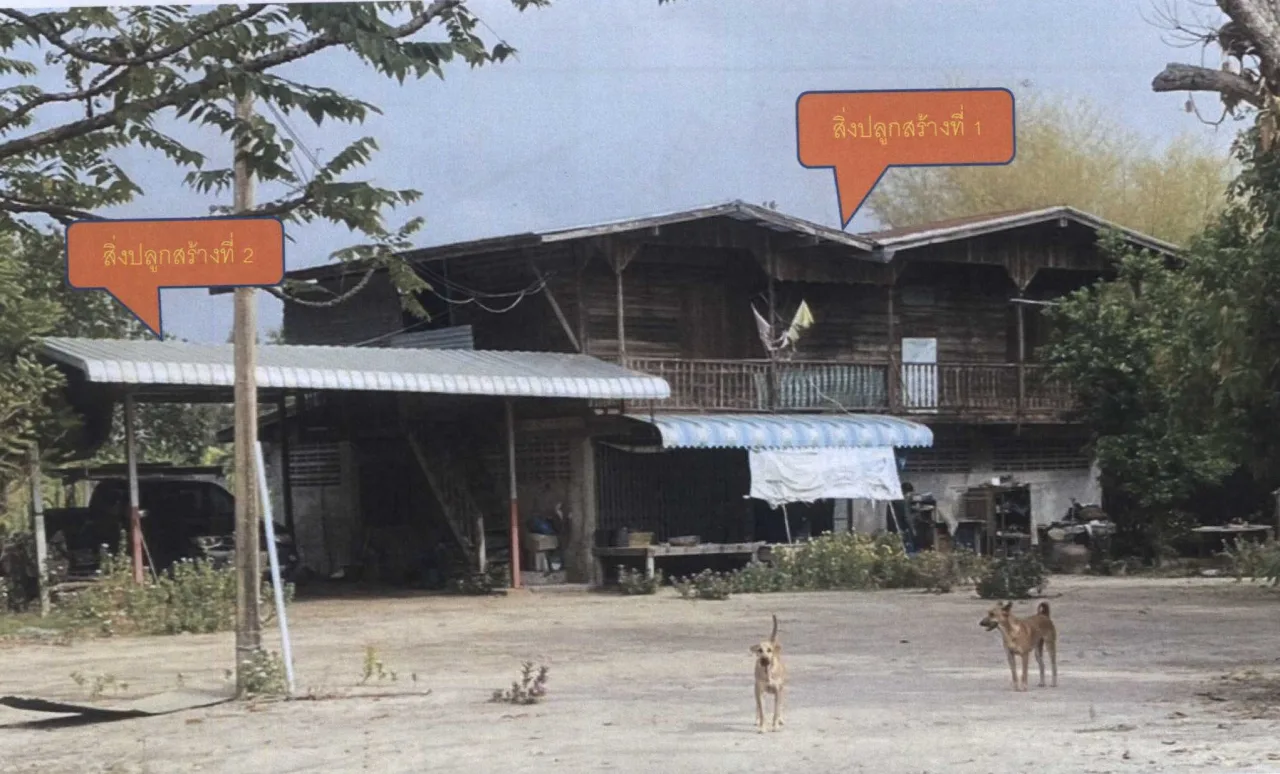 ขายทอดตลาด ที่ดินพร้อมสิ่งปลูกสร้าง ต.ลาดยาว อ.ลาดยาว จ.นครสวรรค์
