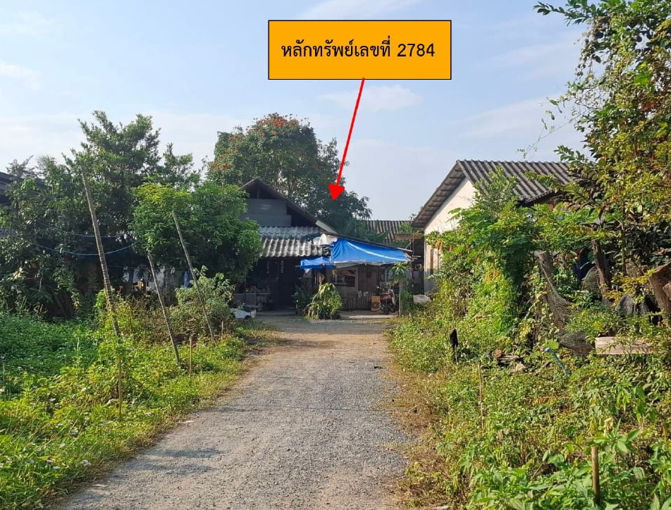 ขายทอดตลาด ที่ดินพร้อมสิ่งปลูกสร้าง ต.ขุนคง อ.หางดง จ.เชียงใหม่
