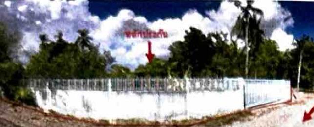 ขายทอดตลาด ที่ดินพร้อมสิ่งปลูกสร้าง ต.ลาดยาว อ.ลาดยาว จ.นครสวรรค์