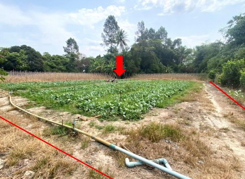 ขายทอดตลาด ที่ดินพร้อมสิ่งปลูกสร้าง ต.หนองกรด อ.เมืองนครสวรรค์ จ.นครสวรรค์