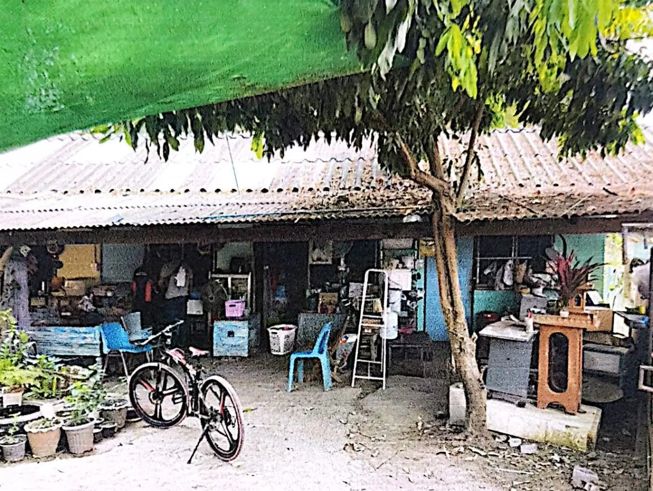 ขายทอดตลาด ที่ดินพร้อมสิ่งปลูกสร้าง ต.หนองควาย อ.หางดง จ.เชียงใหม่