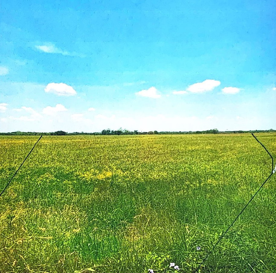 ขายทอดตลาด ที่ดินว่างเปล่า ต.บ้านโพธิ์ อ.เมืองนครราชสีมา จ.นครราชสีมา