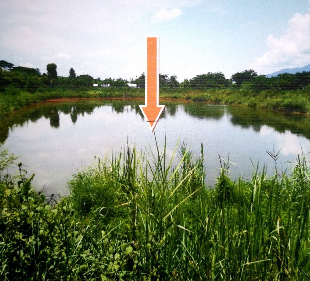 ขายทอดตลาด ที่ดินว่างเปล่า ต.ดู่ลาด อ.ทรายมูล จ.ยโสธร