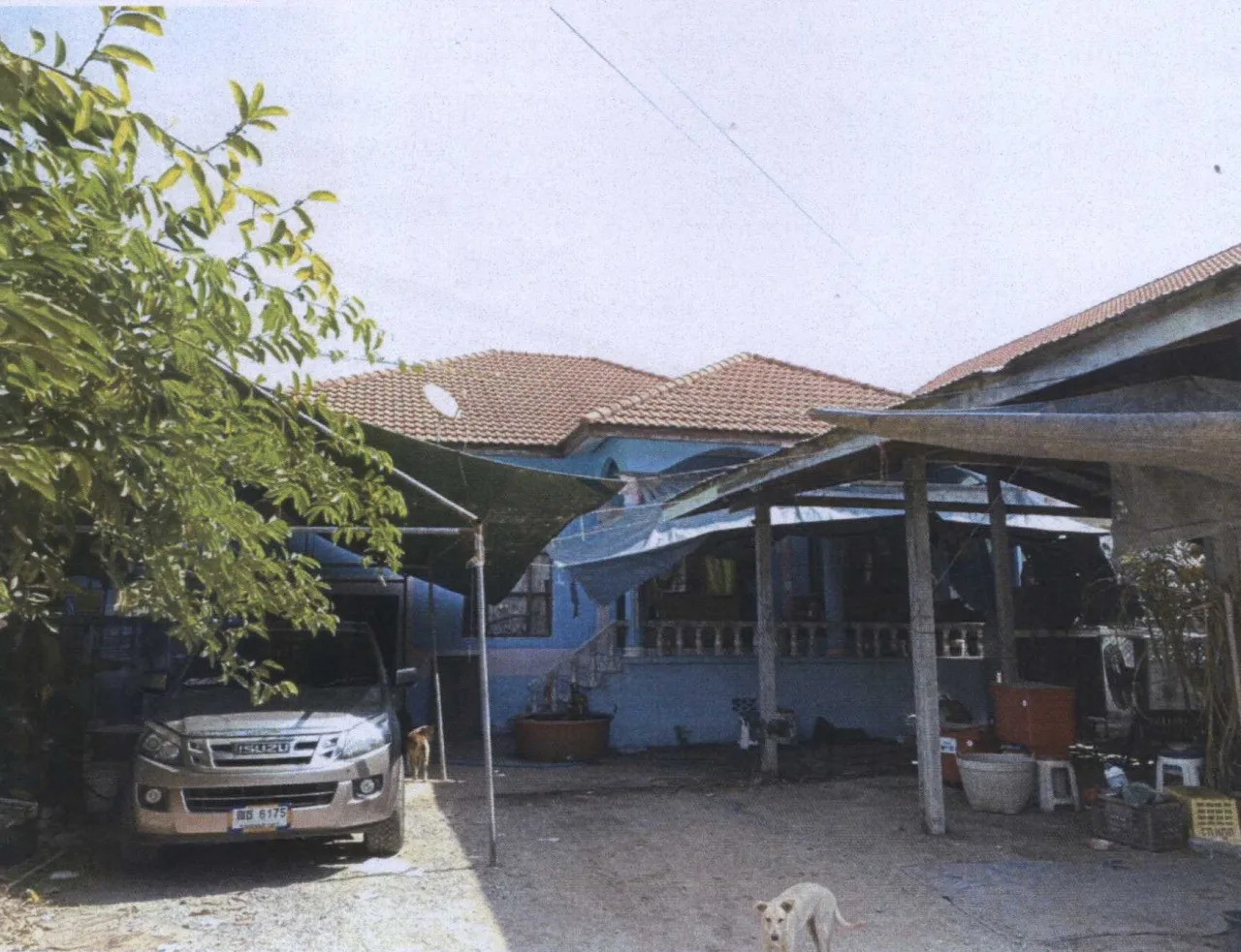 ขายทอดตลาด ที่ดินพร้อมสิ่งปลูกสร้าง ต.หนองปลิง อ.เมืองนครสวรรค์ จ.นครสวรรค์