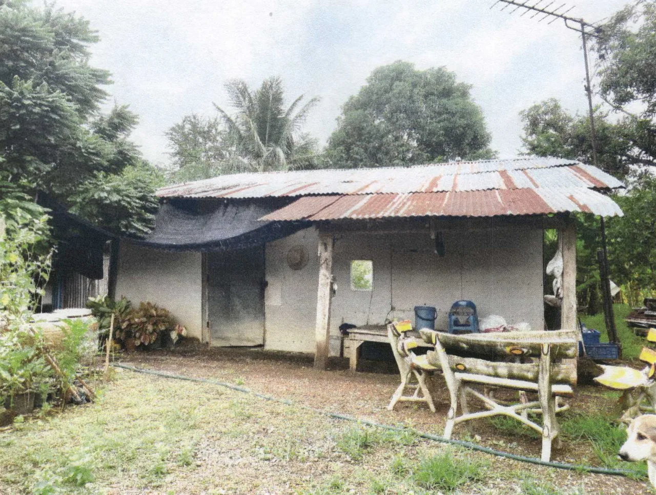 ขายทอดตลาด ที่ดินพร้อมสิ่งปลูกสร้าง ต.ธารทหาร อ.หนองบัว จ.นครสวรรค์