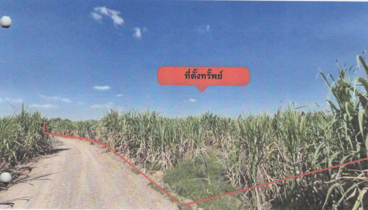 ขายทอดตลาด ที่ดินว่างเปล่า จ.นครสวรรค์