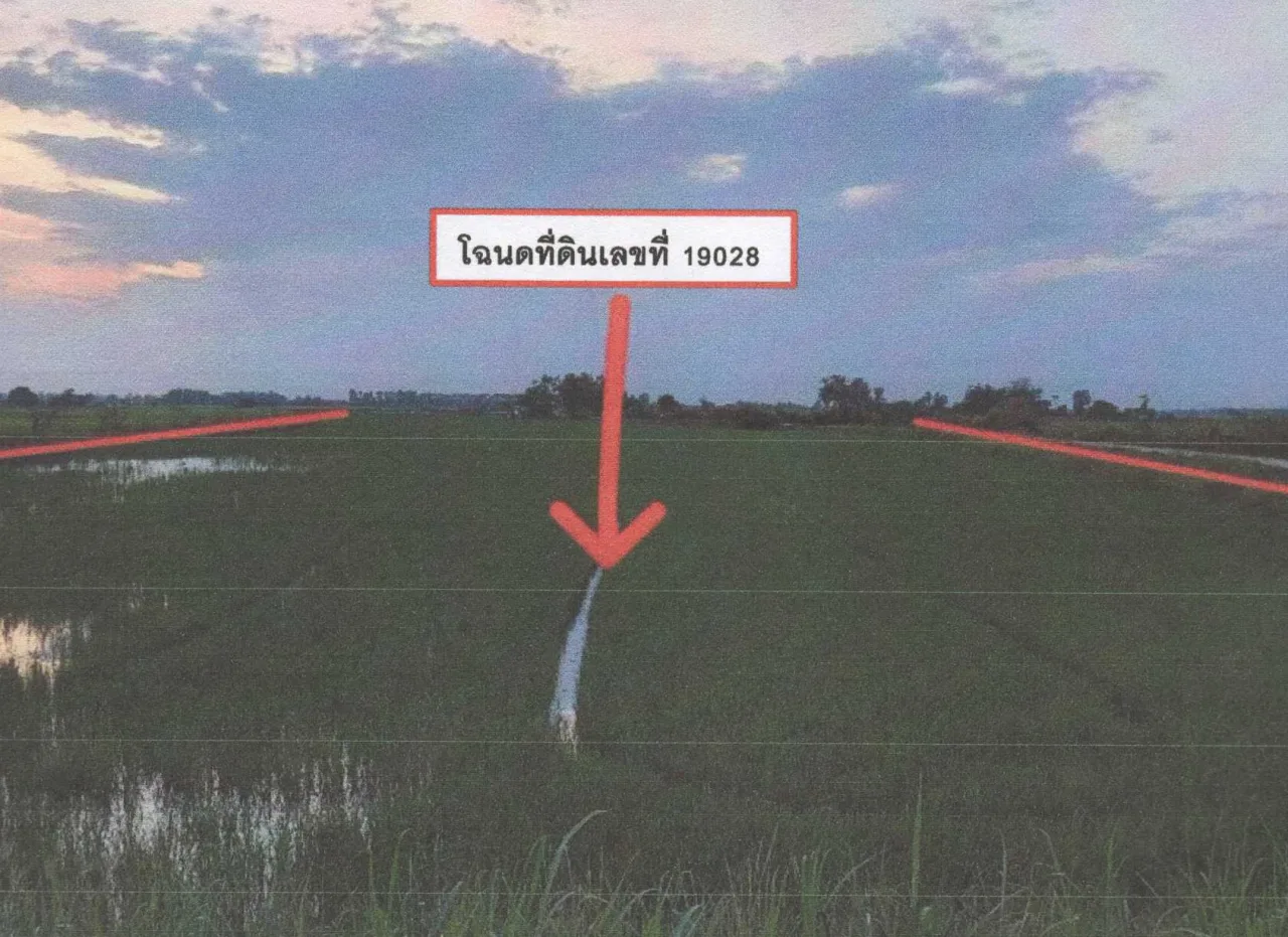 ขายทอดตลาด ที่ดินว่างเปล่า ต.บ้านเป้า อ.เมืองลำปาง จ.ลำปาง