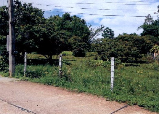 ขายทอดตลาด ที่ดินว่างเปล่า ต.หนองควาย อ.หางดง จ.เชียงใหม่