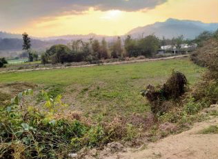ขายทอดตลาด ที่ดินว่างเปล่า ต.เมืองแหง อ.เวียงแหง จ.เชียงใหม่