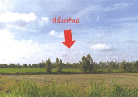 ขายทอดตลาด ที่ดินว่างเปล่า ต.สายลำโพง อ.ท่าตะโก จ.นครสวรรค์