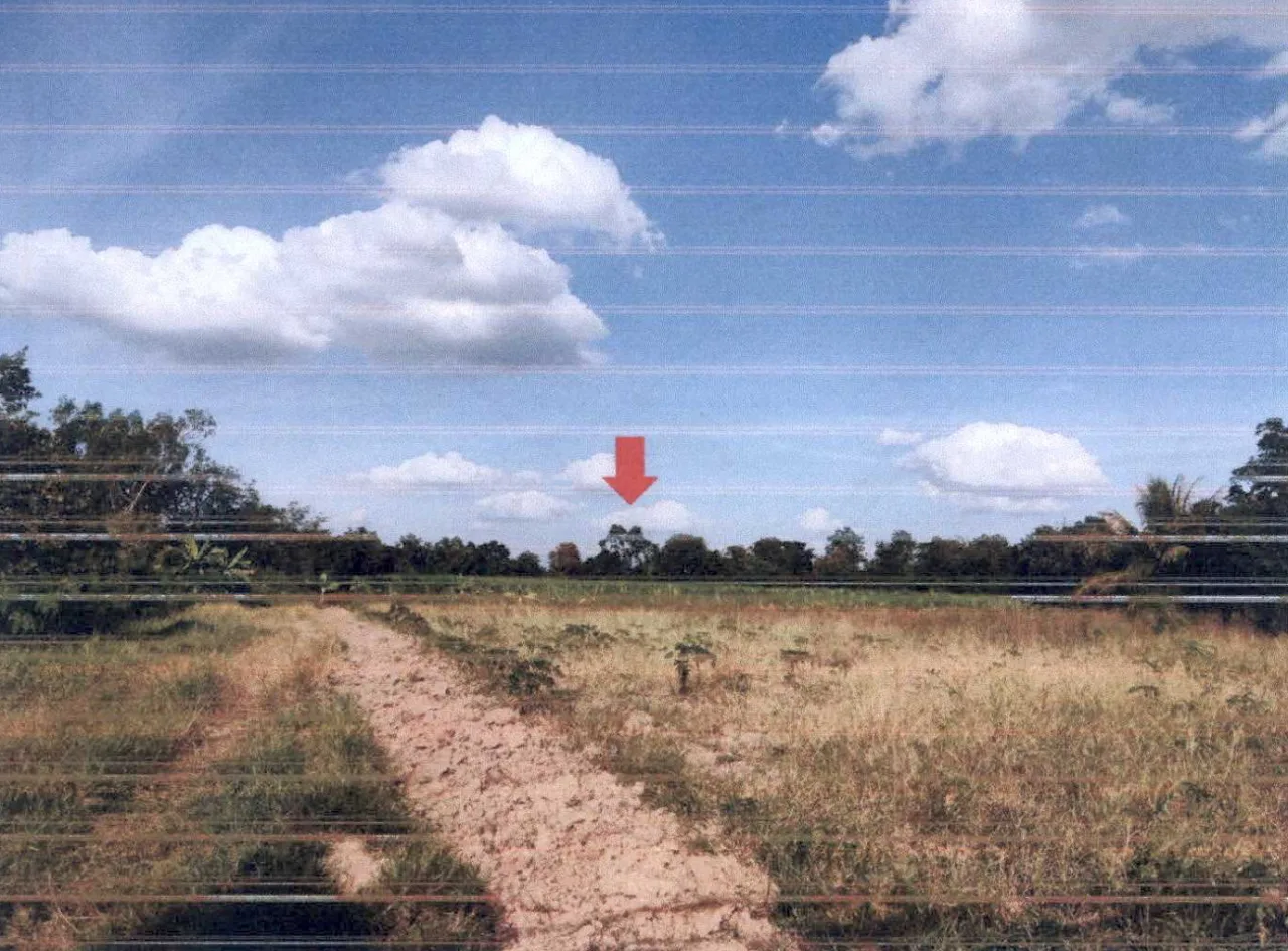 ขายทอดตลาด ที่ดินว่างเปล่า ต.พันชนะ อ.ด่านขุนทด จ.นครราชสีมา