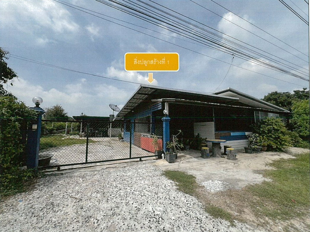 ขายทอดตลาด ที่ดินพร้อมสิ่งปลูกสร้าง ต.มะค่า อ.โนนสูง จ.นครราชสีมา
