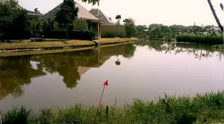 รูปทรัพย์ 2