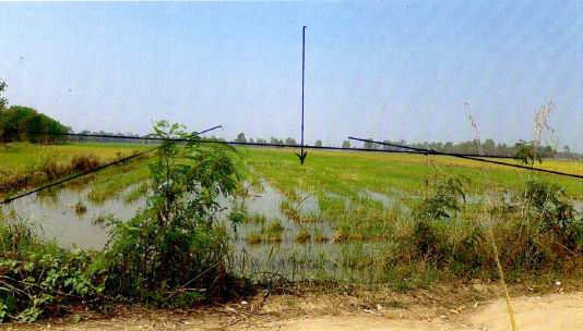 ขายทอดตลาด ที่ดินว่างเปล่า ต.หนองเต่า อ.เก้าเลี้ยว จ.นครสวรรค์