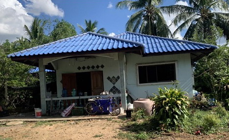 ขายทอดตลาด ที่ดินพร้อมสิ่งปลูกสร้าง ต.สายลำโพง อ.ท่าตะโก จ.นครสวรรค์