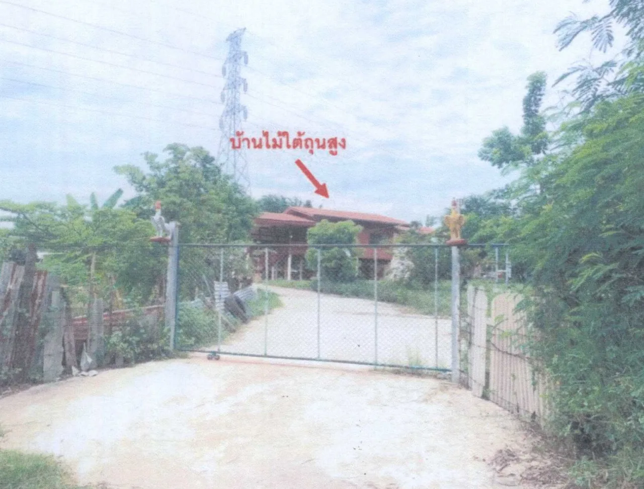 ขายทอดตลาด ที่ดินพร้อมสิ่งปลูกสร้าง ต.บิง อ.โนนสูง จ.นครราชสีมา