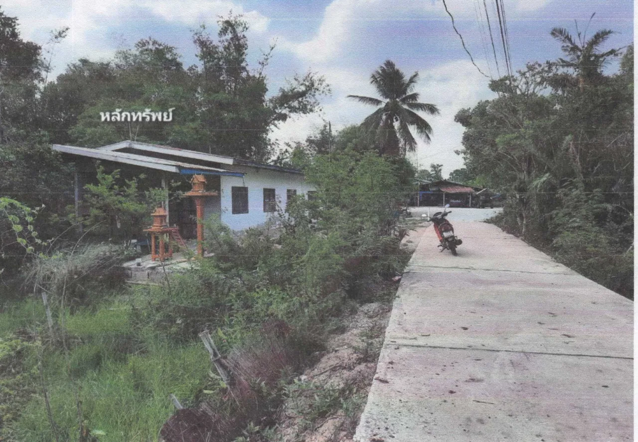 ขายทอดตลาด ที่ดินพร้อมสิ่งปลูกสร้าง ต.หนองกระโดน อ.เมืองนครสวรรค์ จ.นครสวรรค์