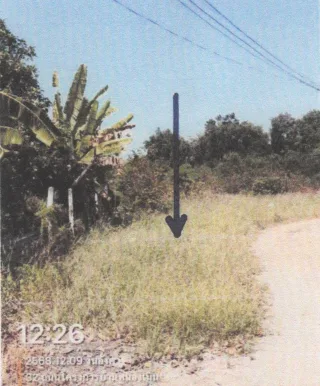 รูปทรัพย์ 2
