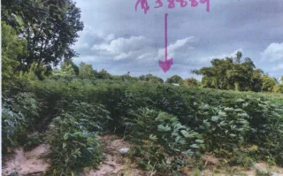 รูปทรัพย์ 1