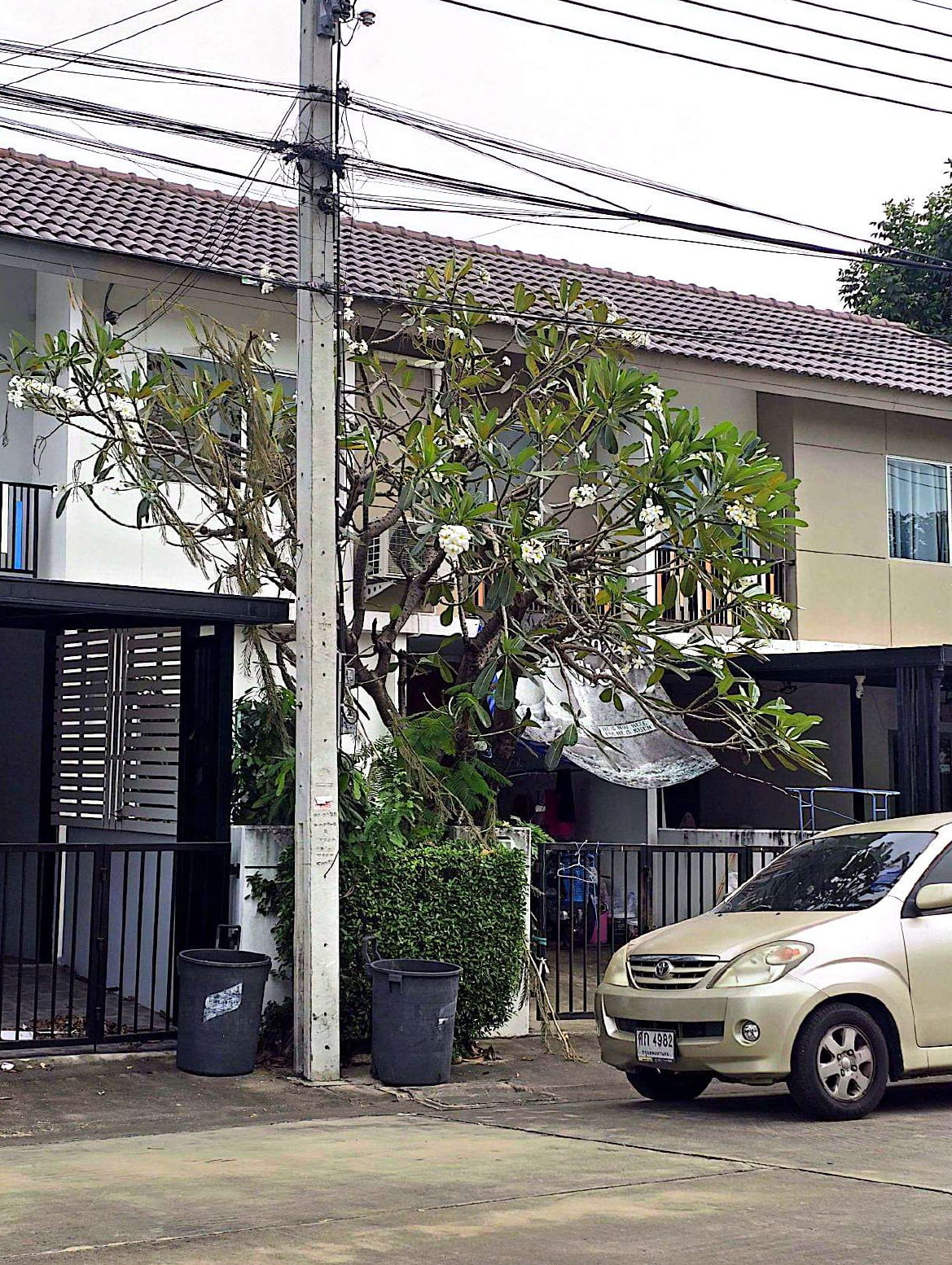 ขายทอดตลาด ที่ดินพร้อมสิ่งปลูกสร้าง ต.บางแม่นาง อ.บางใหญ่ จ.นนทบุรี