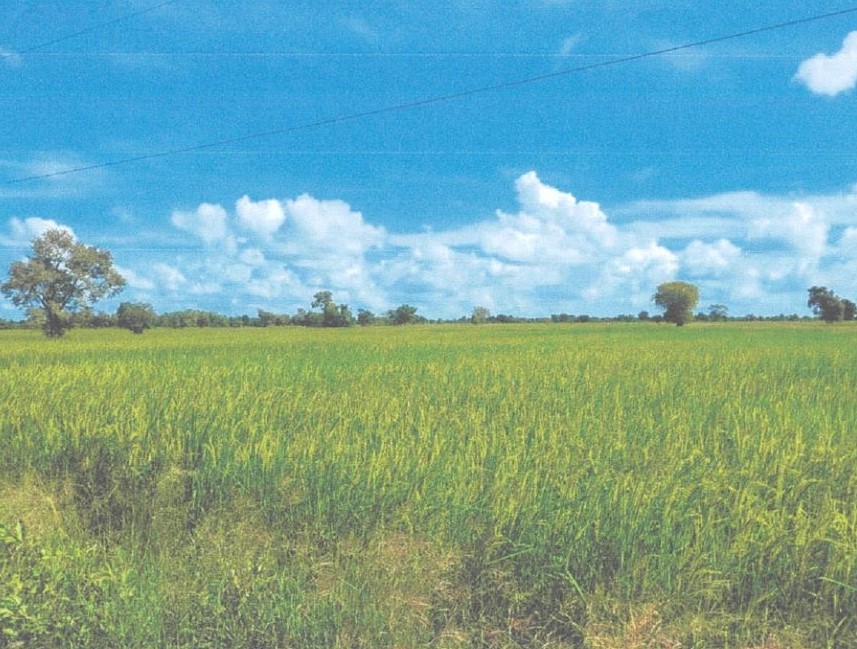 ขายทอดตลาด ที่ดินว่างเปล่า ต.นาแขม อ.กบินทร์บุรี จ.ปราจีนบุรี