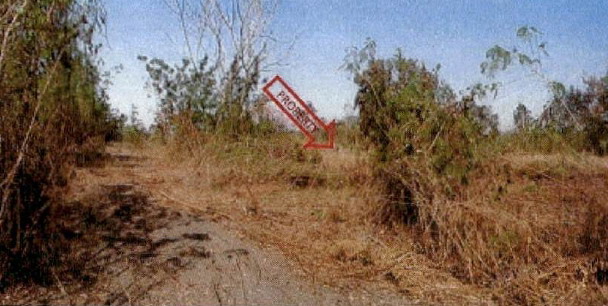 ขายทอดตลาด ที่ดินว่างเปล่า ต.ห้วยทราย อ.สันกำแพง จ.เชียงใหม่