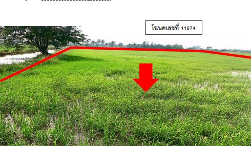 ขายทอดตลาด ที่ดินว่างเปล่า ต.ท่าเสา อ.ท่ามะกา จ.กาญจนบุรี