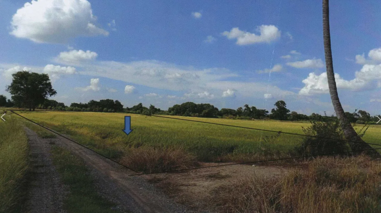 ขายทอดตลาด ที่ดินว่างเปล่า ต.น้ำทรง อ.พยุหะคีรี จ.นครสวรรค์
