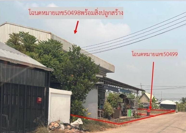 ขายทอดตลาด ที่ดินพร้อมสิ่งปลูกสร้าง ต.ราษฎร์นิยม อ.ไทรน้อย จ.นนทบุรี