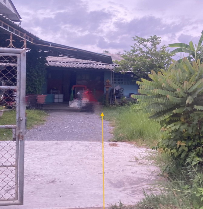 ขายทอดตลาด ที่ดินพร้อมสิ่งปลูกสร้าง ต.แม่คือ อ.ดอยสะเก็ด จ.เชียงใหม่